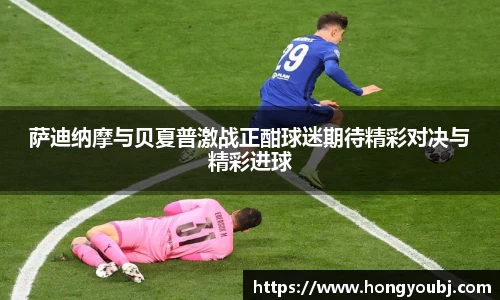 333体育体育直播