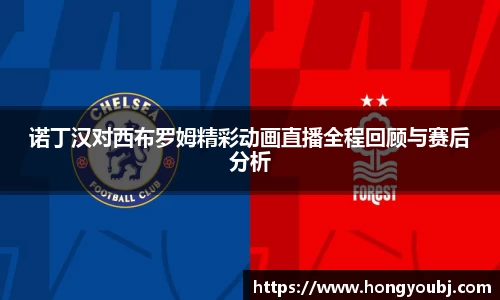 诺丁汉对西布罗姆精彩动画直播全程回顾与赛后分析